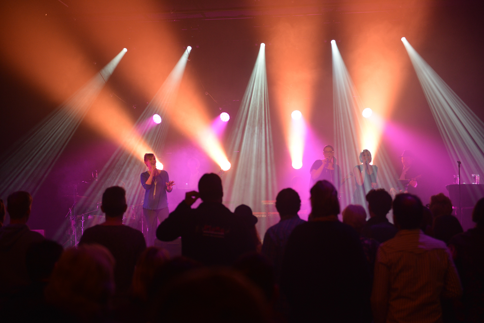 The_Ladybugs-Live_0036